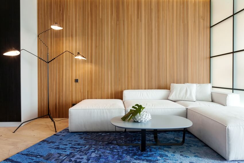 غرفة المعيشة الحديثة في المنزل مع - المعاصرة - التصميم الداخلي - أريكة مريحة - السجاد - على الأرض - المصباح - مصباح - ديكور - على الطاولة - ولوح خشبي - الجدار - ss
