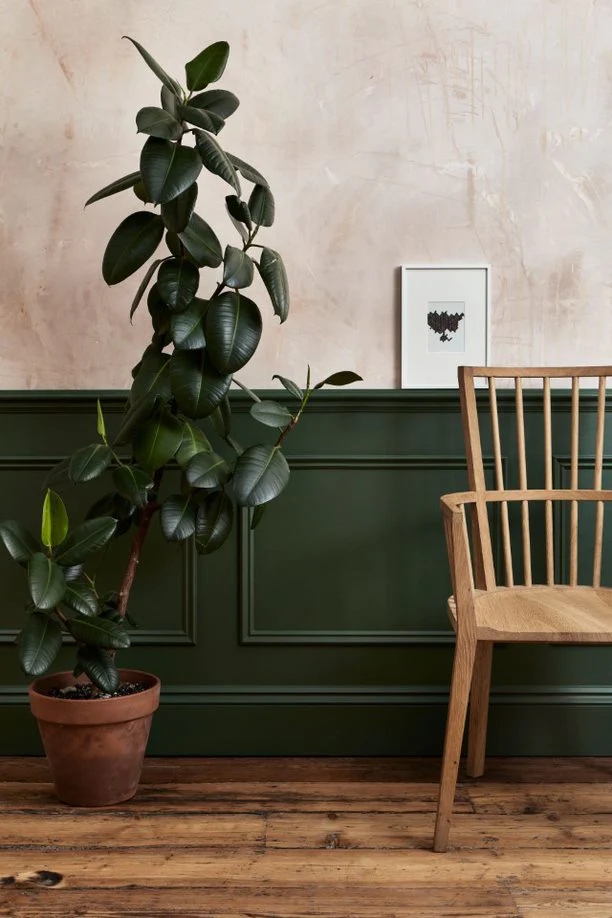 03-green-Wall-with-Mouldings